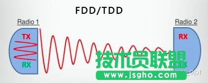 FDDTDDˣţNDD