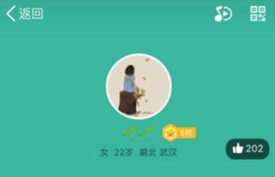 QQc(din)ٝ