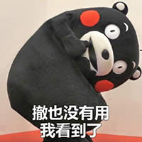 熊本熊表情包 熊本熊表情包