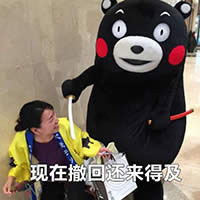 熊本熊表情包 熊本熊表情包