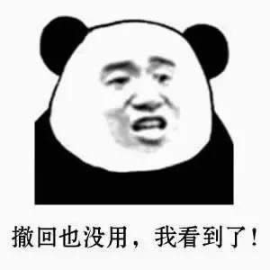 你撤回也沒用我看到了表情包 你撤回也沒用我看到了表情包
