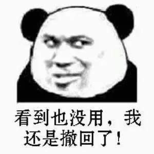 你撤回也沒用我看到了表情包 你撤回也沒用我看到了表情包