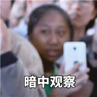 虹橋一姐表情包 虹橋一姐表情包