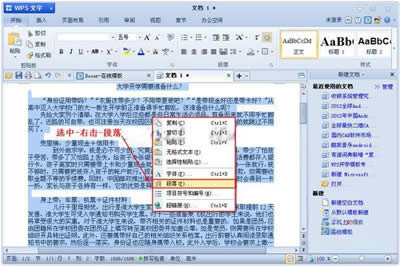 WPSжоҪO(sh)_WPS office