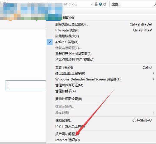 Internetx(xing)