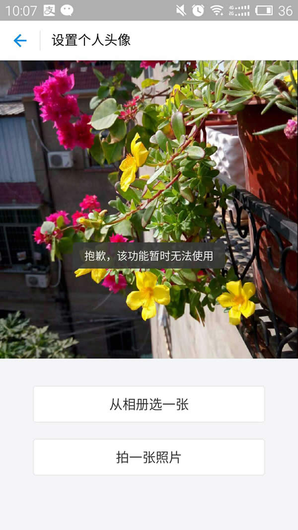 支付寶 支付寶