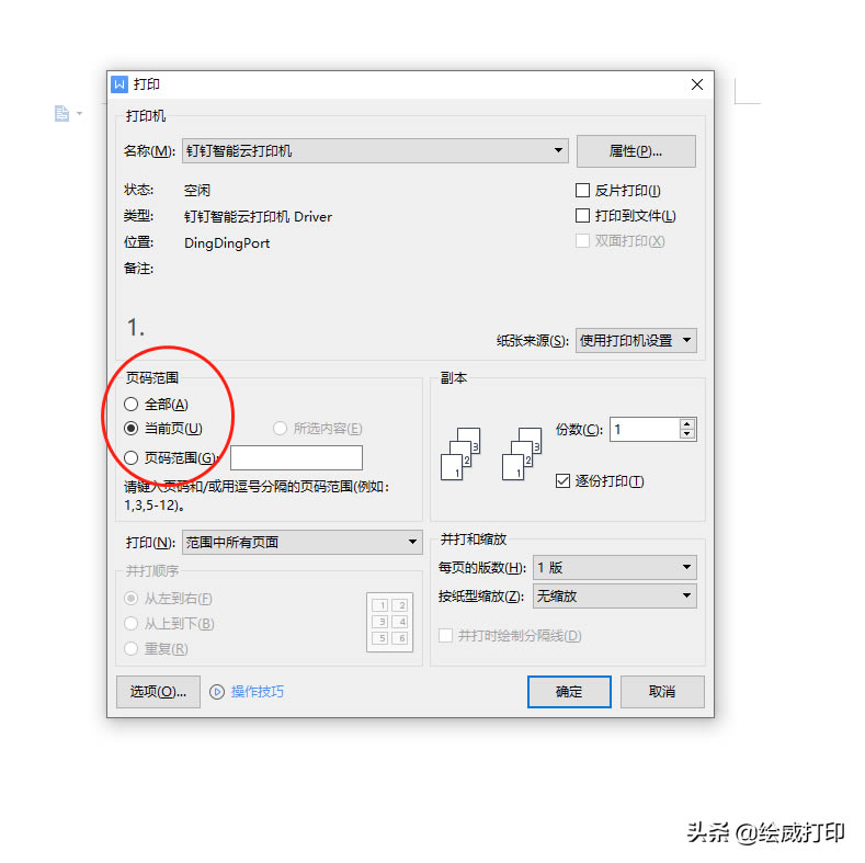 ӡCpӡԔpӡ̳́