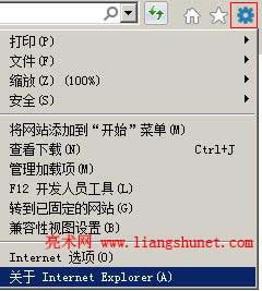 ie10ie11 P Internet Explorer
