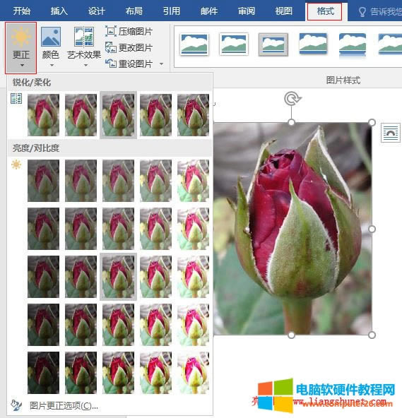 Word 2016  DƬJ/ữ/ȶȣ{(dio)