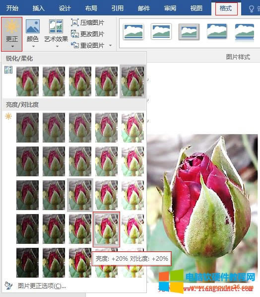 Word2016 õ廨DƬ/ȶ{(dio)