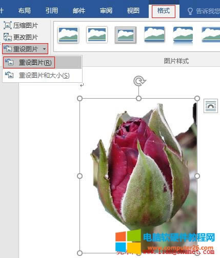 Word 2016 ODƬü߀ԭȥЧ