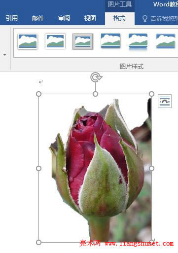 Word 2016 DƬhӛ
