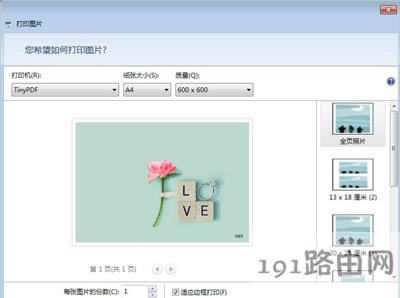 TinyPDF̓MӡC(j)ʹý̳