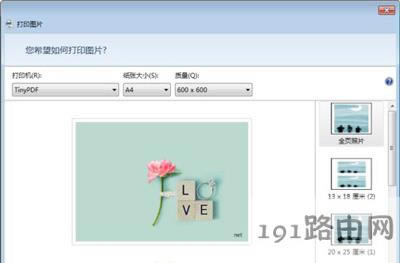 TinyPDF̓MӡC(j)ʹ÷