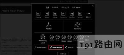 Win8ϵy(tng)g[_W(wng)ʾShockwave FlashĽQ