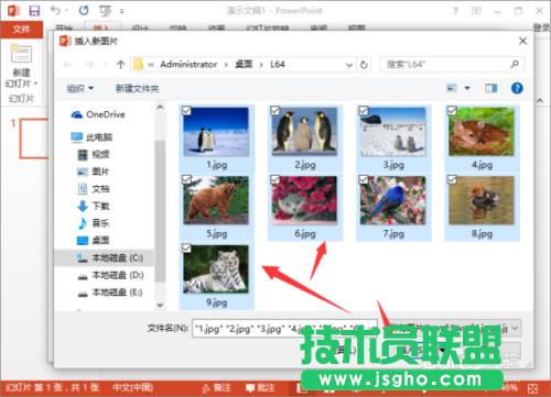 PowerPoint2013нo(c)(l)Ԕ(x)v