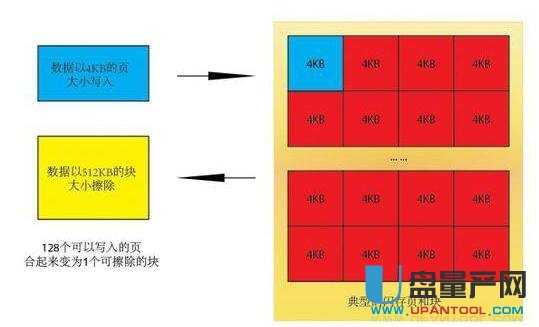 SSD̑BӲPPôkQ