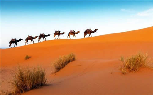 Win10ڼIn the Desertϼܣ