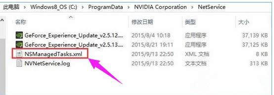NVIDIA NVIDIA
