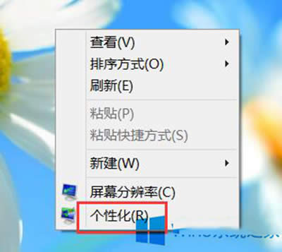Win8(bio)ָ