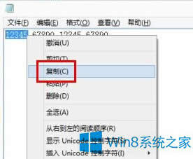 ԒWin8oݔ딵(sh)耵̎