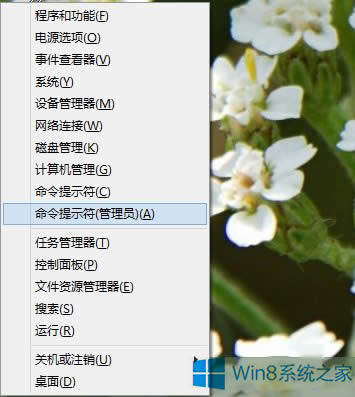 Win8.1ϵy(tng)(bio)c(din)_(ki)ʼo](mi)з(yng)ôk