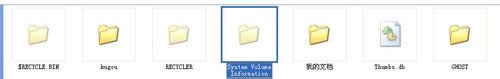 XPϵyӄhSystem Volume InformationļA