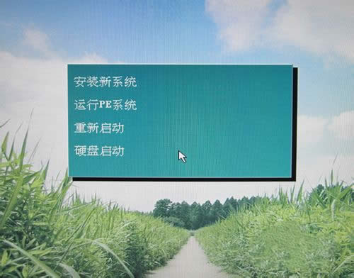 ùP(dng)